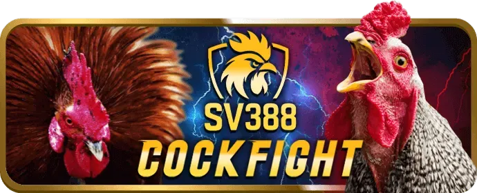 Ưu đãi độc quyền dành cho thành viên VIP của acb888 nhà cái